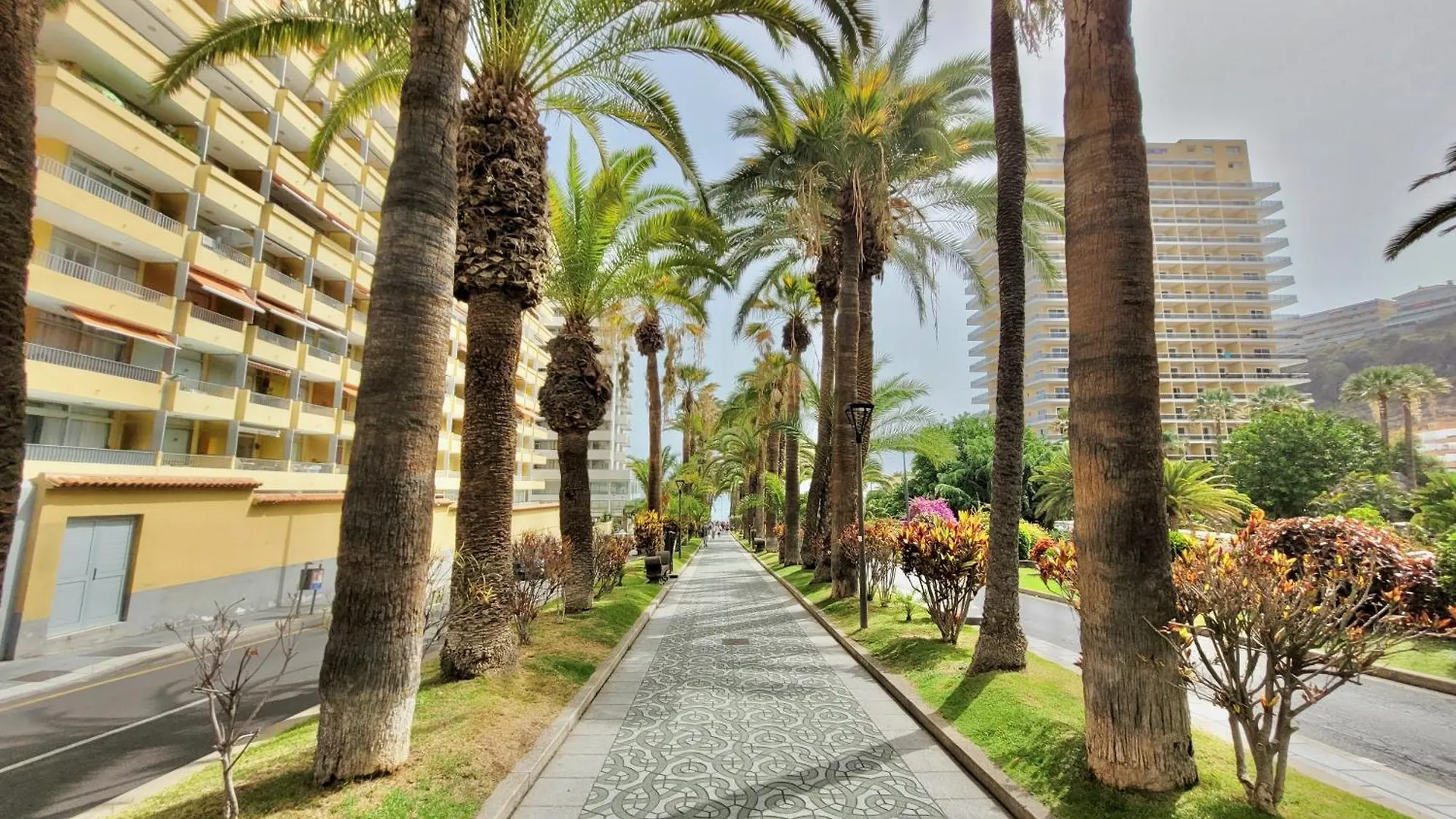 Alta Groundfloor Apartments Puerto de la Cruz  Spain